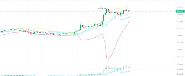 比特币减半倒计时：一场即将引爆的数字黄金盛宴