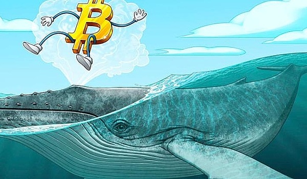 重新思考自主世界：比特币和以太坊算不算？