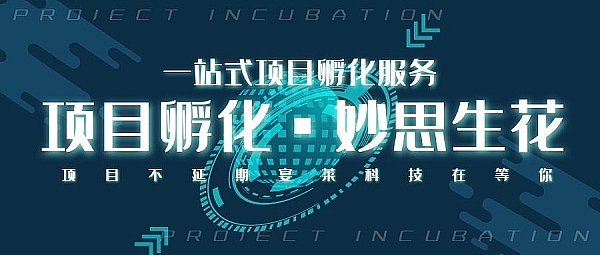当数字资产站在悬崖边缘：狂欢过后，我们该何去何从？