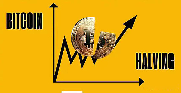 FTX风暴中的关键证人：前CTO面临50年监禁的人生抉择