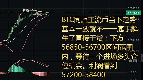 当马斯克遇上狗狗币：一场和解风波掀起的加密市场涟漪
